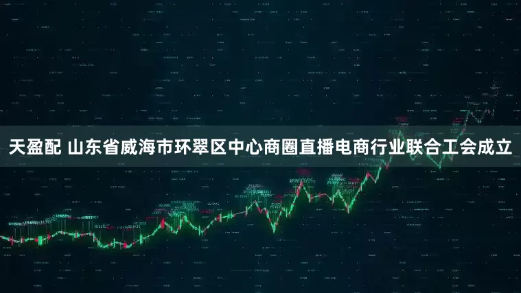 天盈配 山东省威海市环翠区中心商圈直播电商行业联合工会成立